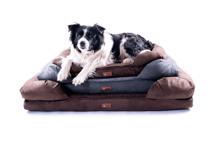 Sofa Psí relax